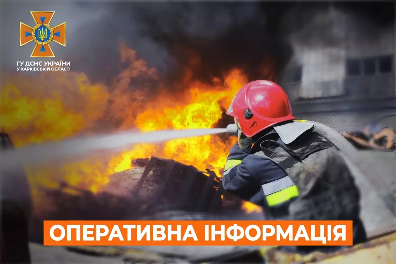 sJiu6020hauFuJHOM042K3vN0rEULt5quDgMokuj.jpg