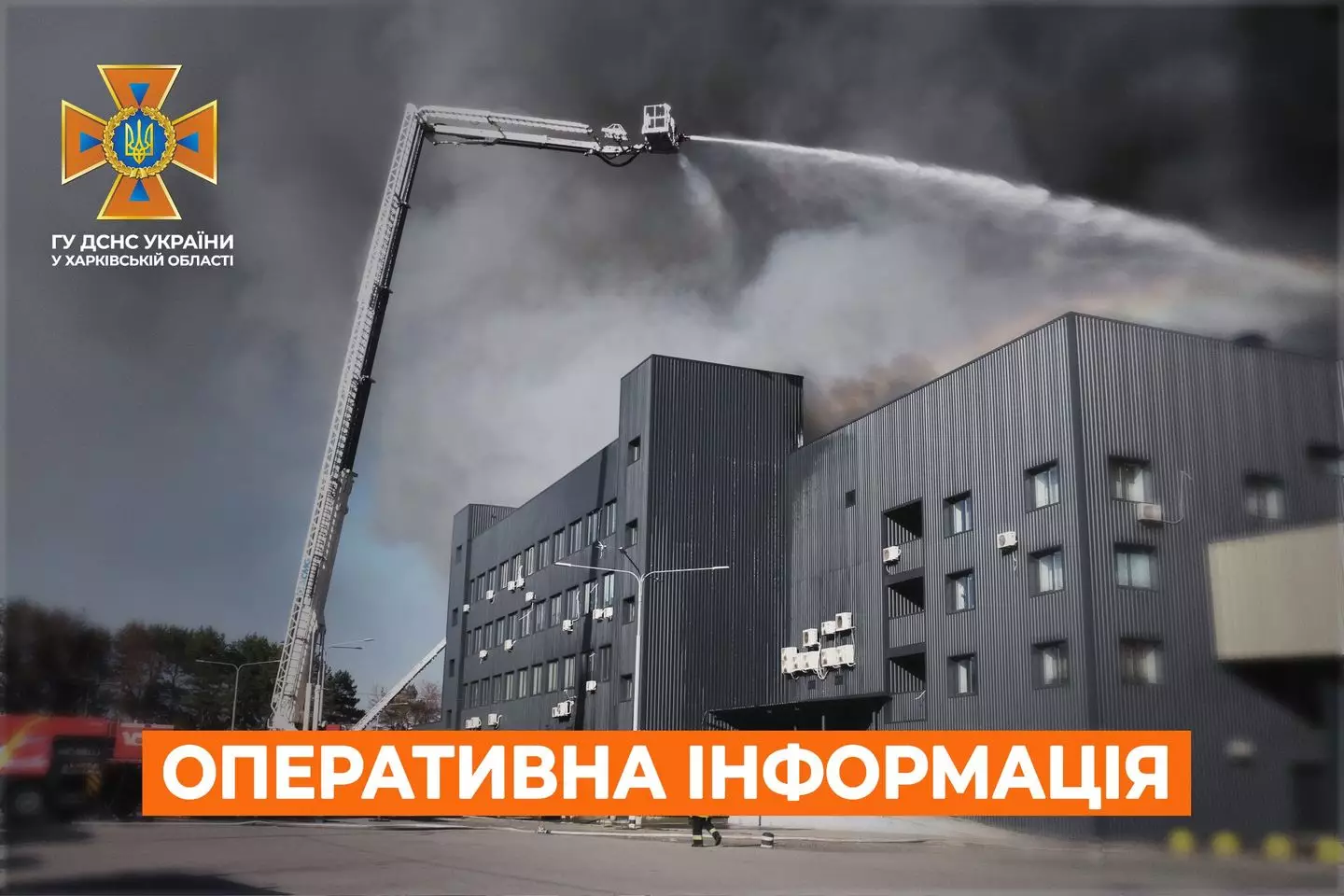 3yvUc76tNahAY3Xbk3cKypRXH9QvsibiTJaKLNdl.jpg