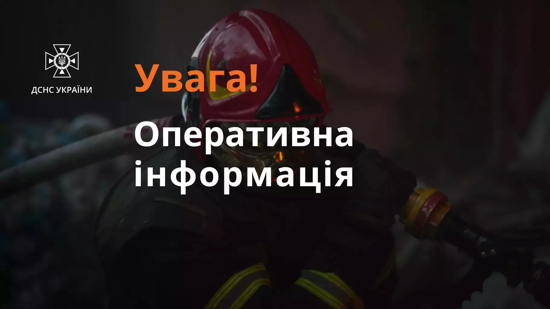 cMTW9myIUEpppuGP9093XODdN5pHXkpRRsmUyBdh.jpg