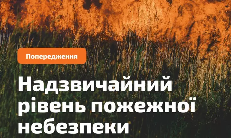 novyi-proekt-22.jpg