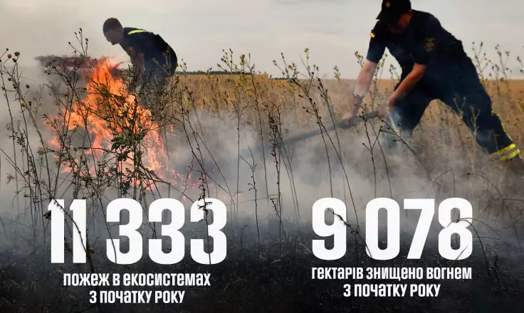 novyi-proekt-26.jpg