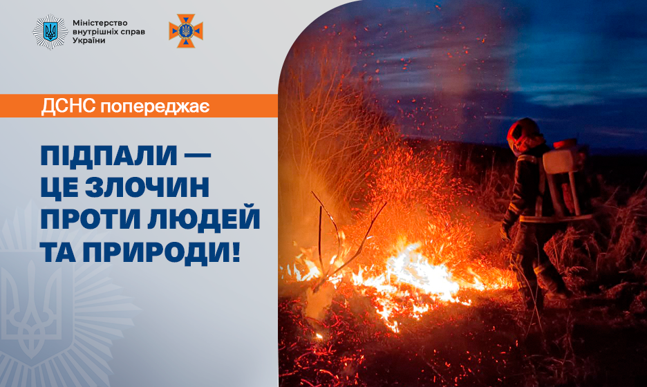 ДСНС б’є на сполох: на Київщині та Закарпатті – понад 230 пожеж в екосистемах за добу через підпали