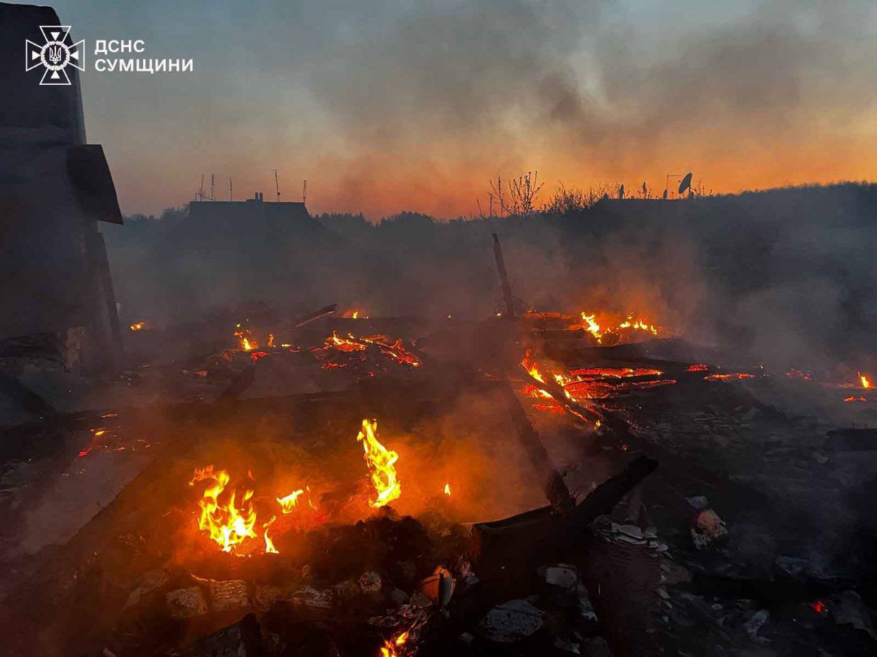 Сумщина: рятувальники дістали з-під уламків песика після нічної атаки ворога