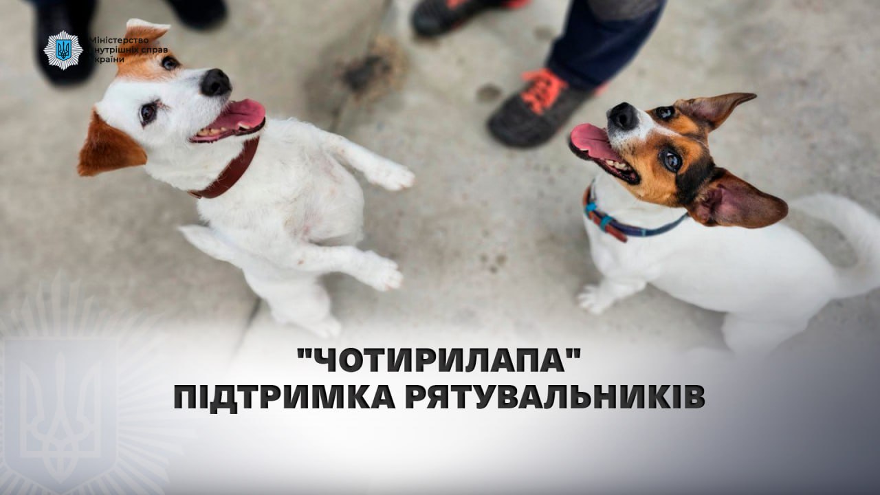 Каністерапія - справжнє джерело підтримки рятувальників