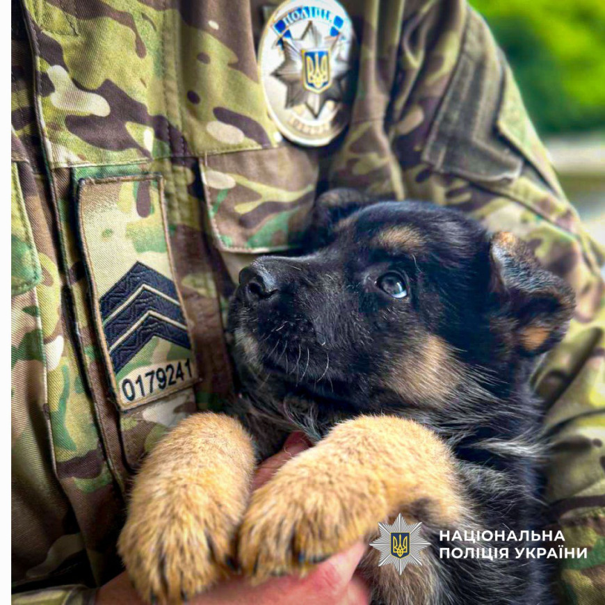 У Кременчуцьких кінологів – поповнення